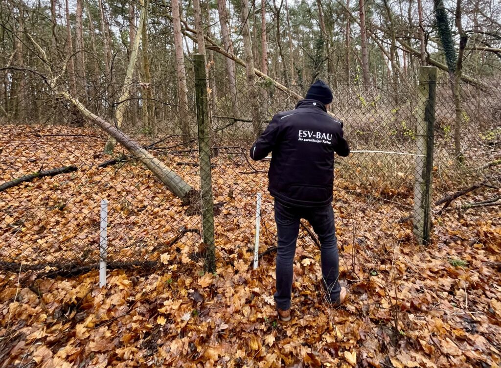 Wildschweine im Heidebad